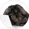 Javier Matimba profile picture